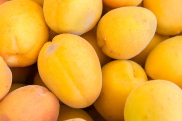 Draufsicht auf Aprikosen