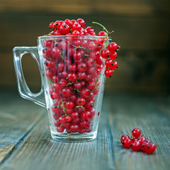 Glass cup with delicious red currant. The concept is healthy food, vitamins, diet and vegetarianism.
