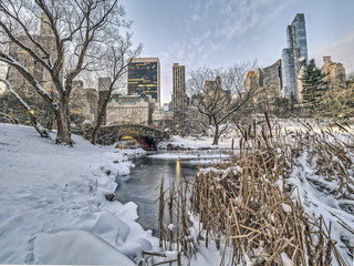 Central Park, New York City