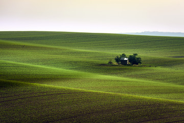 South Moravia landscape