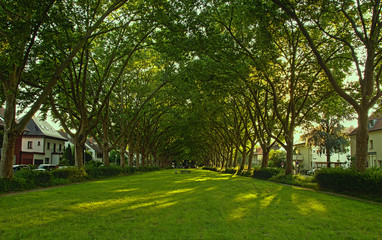 Speyerer Straße, Mannheim