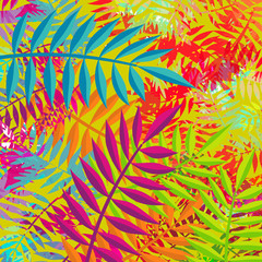 Fototapeta na wymiar Summer abstract plant leaf nature decoration art