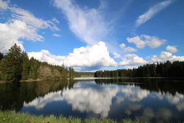 Wolkenspiegelung im Bergsee im Harz