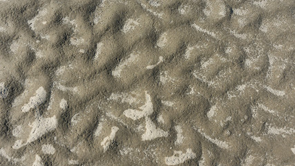Sandy undulating shore. Background.