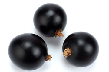 black currant isolated on white background