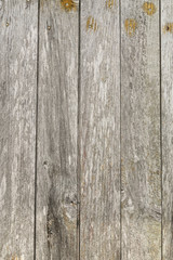 Fototapeta premium planken