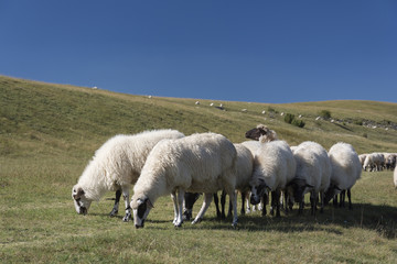 Montenegro landscape