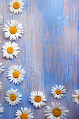 Fototapeta premium Background of daisies on an old wood board