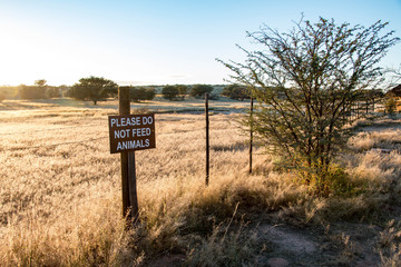 Kgalagadi Transfrontier Park, South Africa