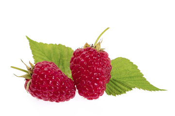 close-up view of red raspberries on white