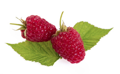 Sweet raspberry on white background macro