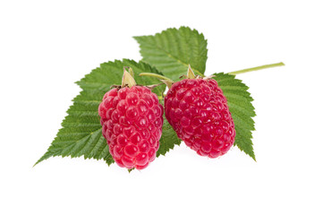Ripe raspberry on white background close-up