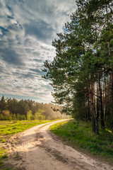 Fototapeta na wymiar rural dirt road along the forest under a dramatic cloudy sky is illuminated by the setting sun
