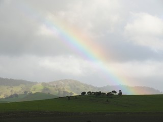 Naklejka na ściany i meble Barossa Valley Rainbow