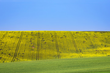 Minimal landscape of Moravian fields