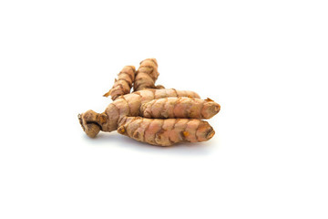 Curcuma