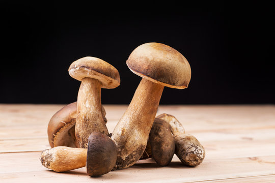 Group of fresh cepe mushrooms on a wooden table