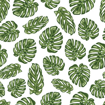 Monstera leaf seamless pattern background © AgataCreate