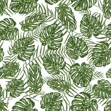 Tropical leaf seamless pattern background