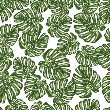 Monstera leaf seamless pattern background