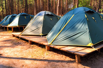 Tents of scouts or tourists in the forest on wooden platforms.