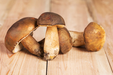 Mix of mushrooms on a wooden table. Autumn