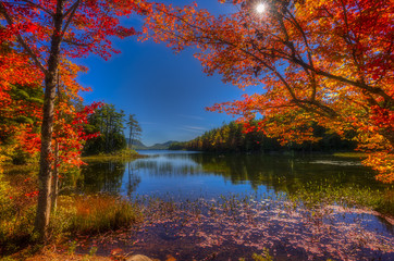 Fototapeta na wymiar Maine foliage acadia