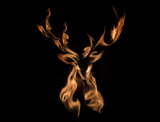 deer drawing with fire effect structure on background