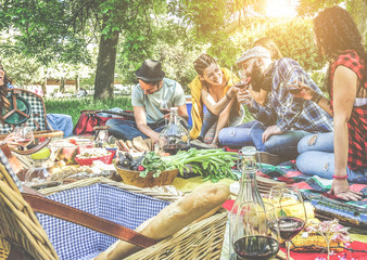 Group of friends cheering with red wine at picnic outdoor - Young trendy people having fun eating...