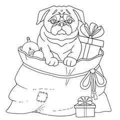 Dog Pug symbol 2018 new year. Page for adult coloring book. Vector illustration.
