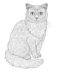 Cat doodle coloring book page for adults. Vector illustration isolated on white background.