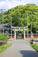Fototapeta premium 五所八幡宮の参道（福岡県古賀市）