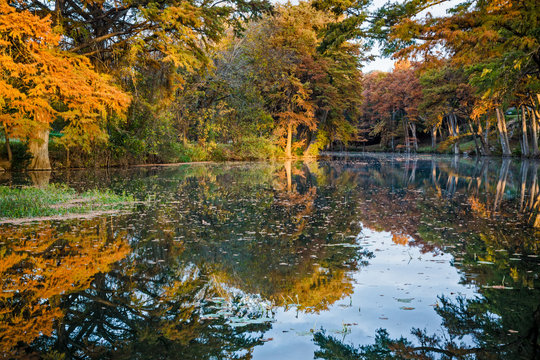 Guadalupe River Reflection