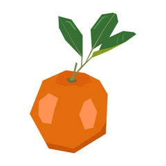 Isolated geometric tangerine on a white background, Vector illustration