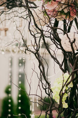 composition on ceremony place, tree branch with bouquet of roses