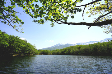 Obraz premium Shiretoko lake