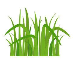 icon green grass