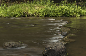 Dolsky mill in national park with old ruin