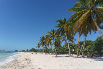 Obraz na płótnie Canvas Tropical Beach view from Playa Giron, Cuba