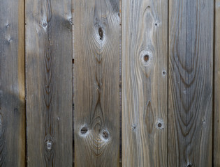 Fototapeta premium Wood Fence Texture: 