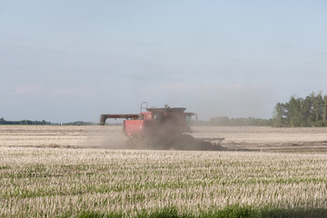 Fototapeta premium farmer combining a farm field