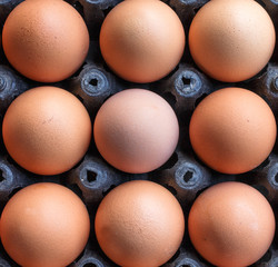 Top view of Fresh farmer eggs in a container