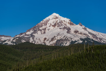 Fototapeta premium Mt Hood, Oregon 