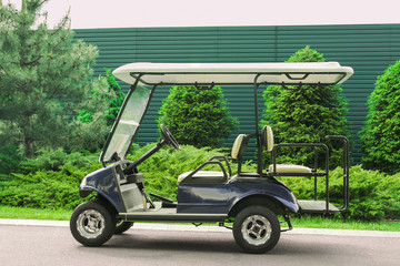 Modern cart on road in golf club © Africa Studio