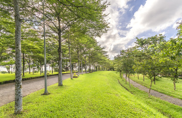 Twisty roads in the park with green trees shine in the golden sunshine of the summer in the ecotourism to attract tourists visiting the weekend.