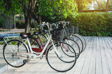 Fototapeta na wymiar Classic bicycles parked on sidewalk in summer.