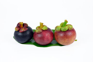 Asian fruit mangosteen on white background.