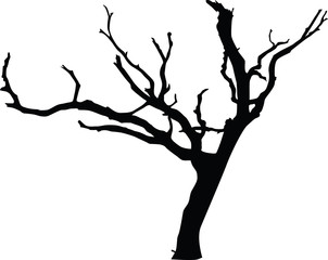 dried tree on isolate and in vector