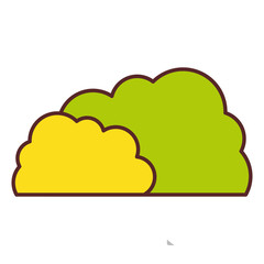 bush plant botany to decoration of garden