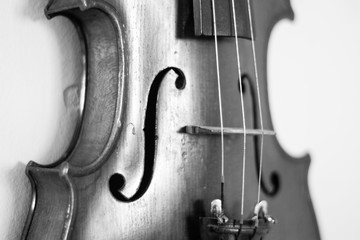 Close up of a violin on a white wall